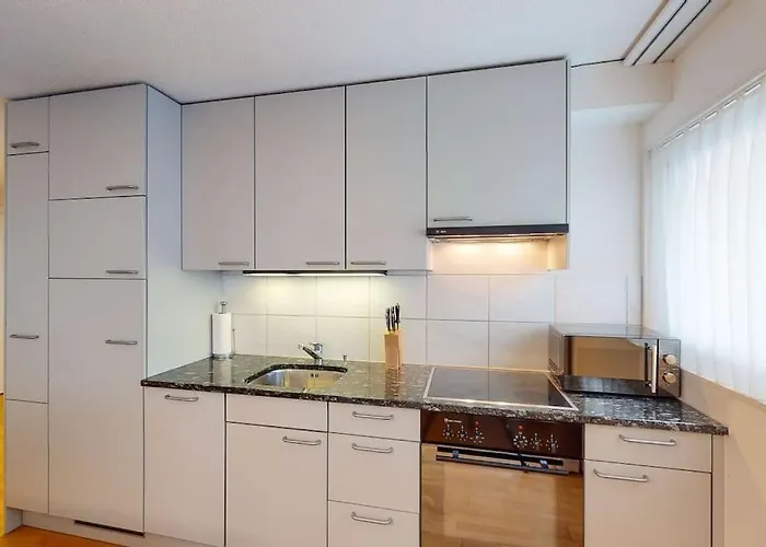 Executive 1bd Flat Center - Hösch 4 *